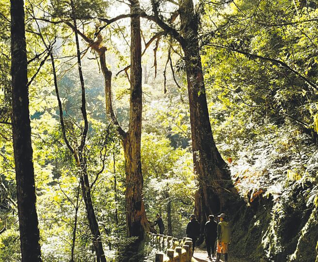 桃园市拉拉山国家森林游乐区优化各项设施，游客中心也提供简易餐饮服务，将在4月18日重新开园。（新竹林区管理处提供／吕筱蝉桃园传真）