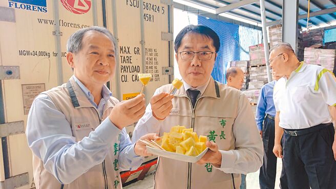 台南市长黄伟哲（右）品尝今年外销香港的关庙凤梨。（程炳璋摄）