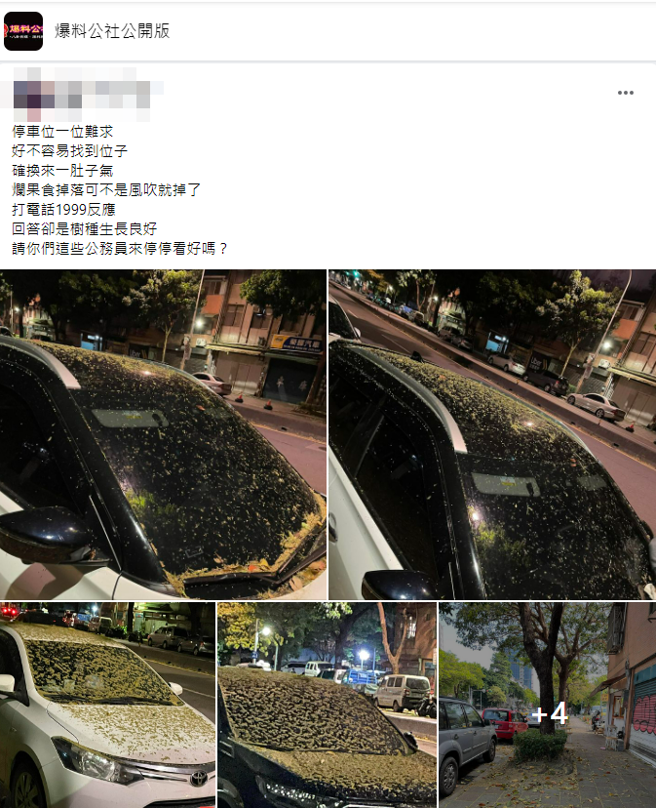 一名網友日前把車停在路邊車格，後來回到車位發現整輛車全被路樹的花粉、果實碎屑覆蓋，他打1999市民專線投訴，對方回應是路樹生長得好。（翻攝自臉書「爆料公社公開版」）