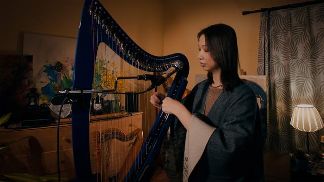 苏佩卿VR音乐表演(高雄市文化局提供)