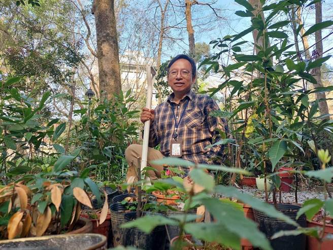 潘樵5月将退休，感念暨大给他一份稳定的工作，赶在退休前在校园打造栎森林回馈。（潘樵提供／杨静茹南投传真）