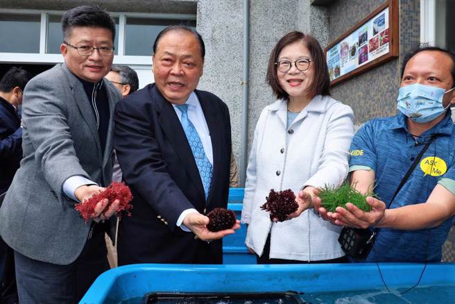 今日也是海洋委员会主委管碧玲首度列席报告业务概况并备询。图为管碧玲亲自参观海葡萄、珊瑚草、锯齿海菜养殖，以及復育海底薰衣草森林、种珊瑚的保育成果。（本报资料照／张茂雄摄）