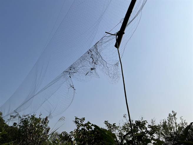 基隆市动保所22日接获民眾通报，在七堵山区发现不肖人士私设的鸟网，动保所兽医紧急拆除并没入。（基隆市政府提供／张志康基隆传真）