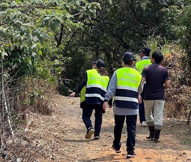 桃园市平镇区日前有民眾发现，竟有狒狒出没逛大街，市府农业局今将派员设置诱捕笼。（黄志杰提供／蔡明亘桃园传真）
