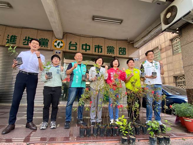 立委何欣纯今天登记带来土肉桂、杜鹃、肖楠3种原生种植物，象徵本土阵营深耕基层，民主向下扎根。（张亦惠摄）
