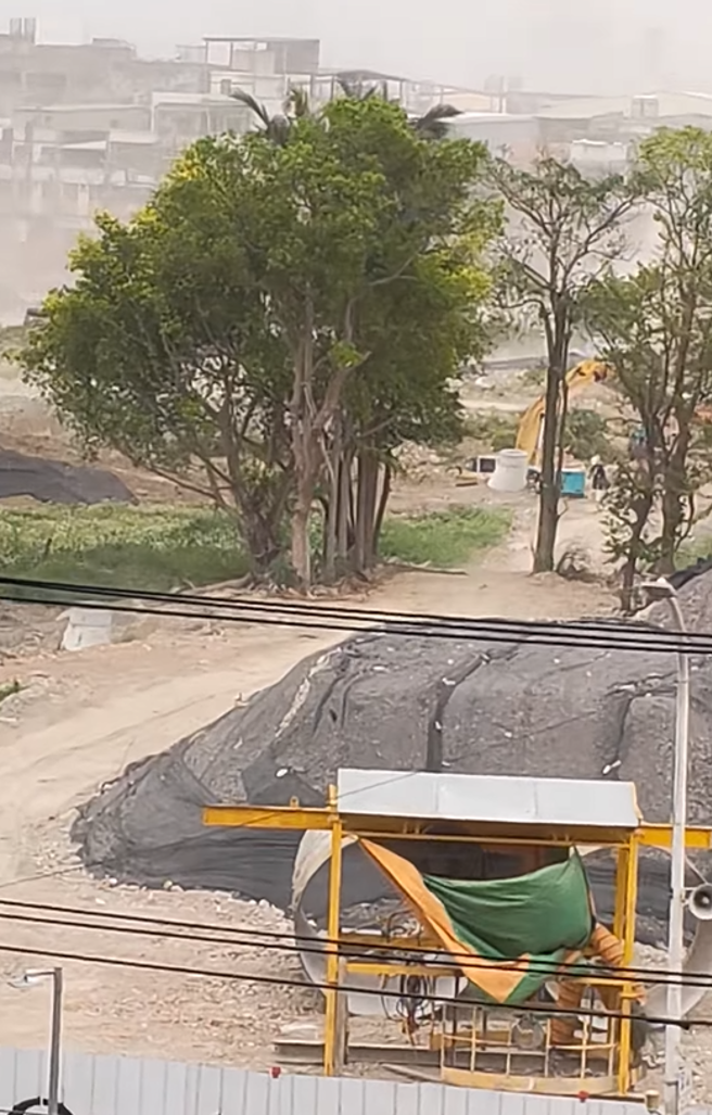 双北突刮怪风！路树被吹倒惨压7车，民眾惊：比颱风还夸张。(翻摄脸书爆料公社)