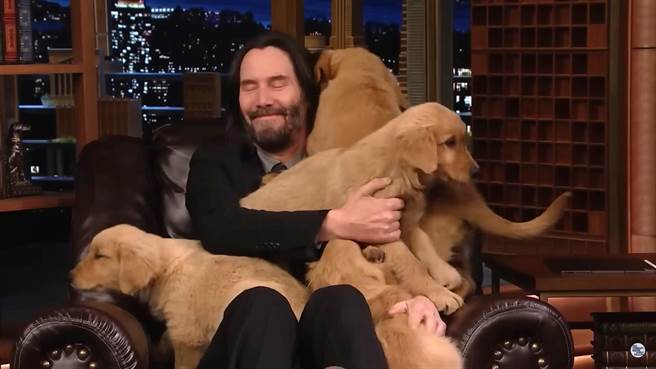 基努李维日前上节目宣传《捍卫任务4》被狗狗们包围。（翻摄自YouTube）