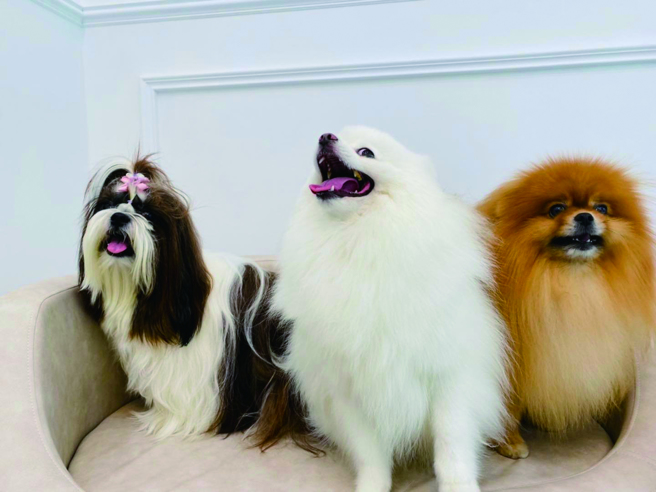 把他们抱在怀里，「妈妈会为你们努力活下去。」（图／时报出版提供）