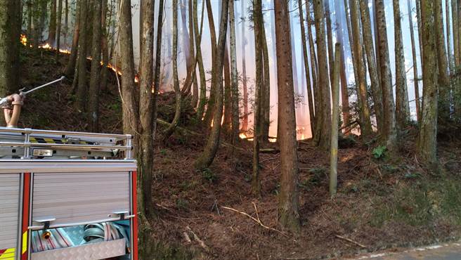 大鹿林道24.5K附近23日发生森林火灾并延烧至周围林地，目前火势已控制住。（新竹县消防局提供／邱立雅竹县传真）