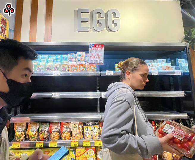 进口鸡蛋最快会在本月29日上架至超市通路，并且以美国、澳洲及泰国为主，至于贩售的价格则会依产地价等计算得出。（报系资料照）