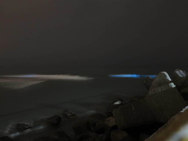 桃園市竹圍漁港旁沙灘21日深夜出現藍眼淚美景。（民眾提供／蔡明亘桃園傳真）