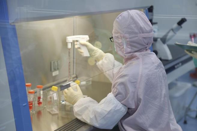 （长圣干细胞新药，获美、台核准进行临床二期试验。图／业者提供）