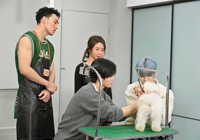 启贤（前左）和东宪（前右）这一组的模特狗躁动。（台视提供）