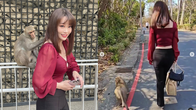 林佑之看到猴子很开心。(图/林佑之 IG)