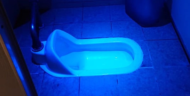 一名女网友去某间牛排馆如厕时，开门惊见「诡异蓝光」。 （图／徐姓网友授权使用）