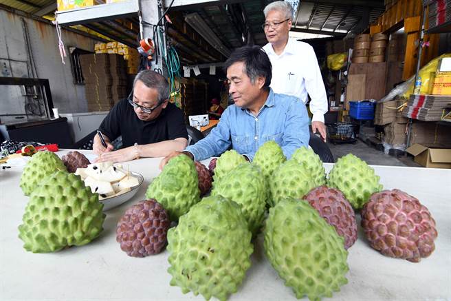 日本商社副社长冈本俊一郎（左）， 与台东释迦合作社理事主席王志伟（右）签订释迦出口合作备忘录。 （庄哲权摄）