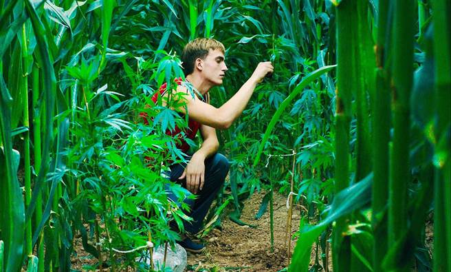 亞伯特波世是如假包換的「桃農」。（海鵬提供）