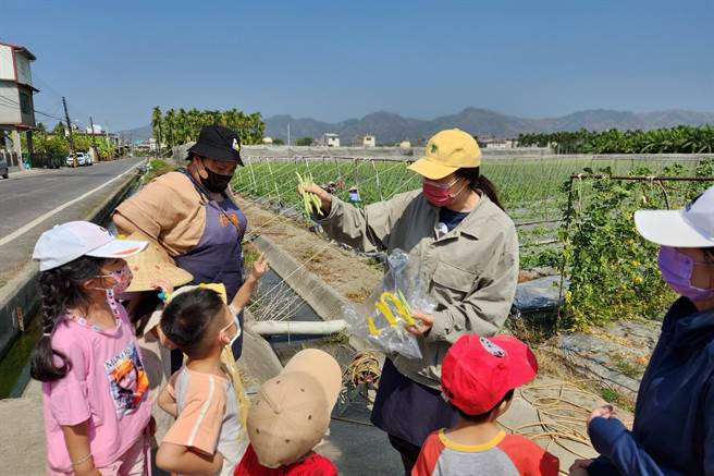 教保老師為慢飛天使說明採收四季豆。（林雅惠攝）