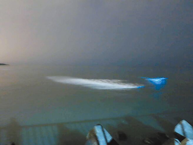 马祖蓝眼泪被誉为世界自然奇景，如今在桃园也看得到，有民眾21日深夜在大园区竹围渔港，惊喜直击美景。（民眾提供／蔡明亘桃园传真）