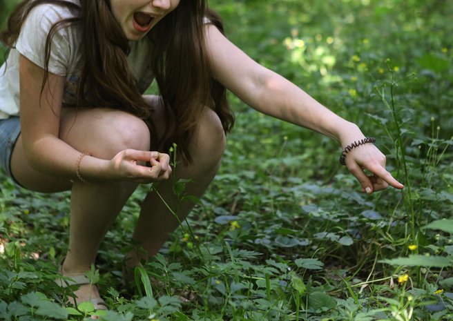 4宝妈摔进一片有世界最危险植物称号的刺树（Dendrocnide moroides）之中，剧烈的疼痛感折磨了她长达6个月之久。（示意图／达志影像）