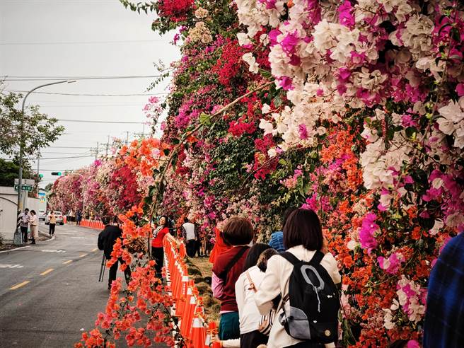 田中镇公所表示，因镇长民意信箱、公所电话涌入大批镇民反映，梅州街人车争道的情况已经严重影响当地民眾生活，因此才会紧急摆放三角锥。(吴建辉摄)