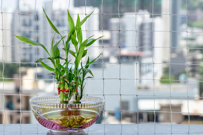 命理师列出10大风水上的嫌恶设施，提醒大家「再便宜都别买」。（示意图／Shutterstock）