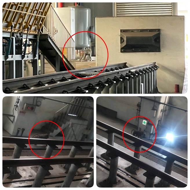 狒狒现踪台铁富冈基地。（翻摄汤玛士的日常脸书）