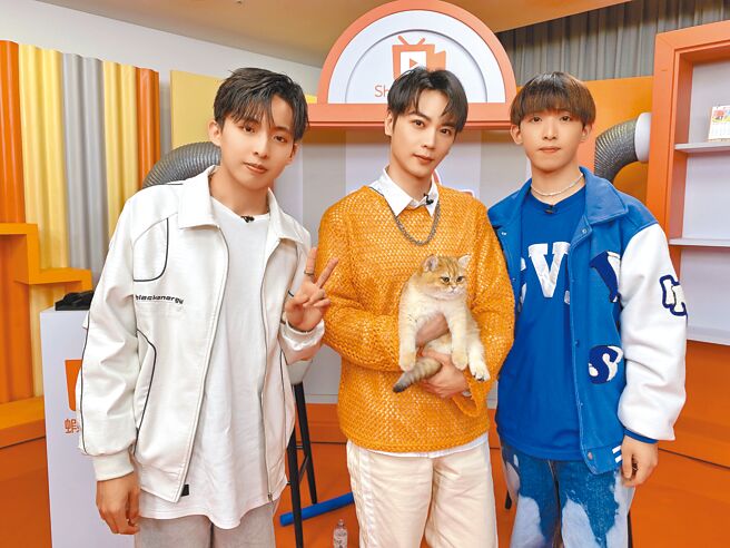 古曜威（中）带萌猫酷弟上节目，网友直说好可爱。左为陈柏谛、右为吕尊扬。（单纯梦想文创事业提供）
