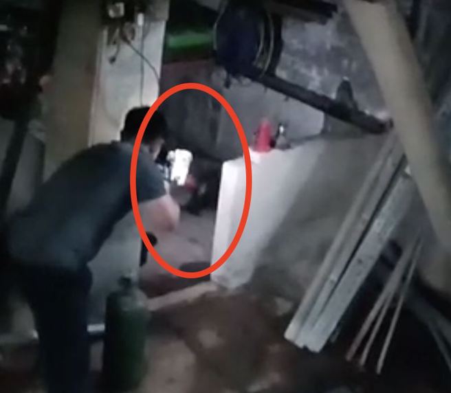 围捕人员在民宅内近距离开枪，导致狒狒伤重身亡。（翻摄我是中坜人脸书）