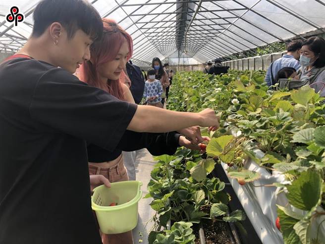 聯合醫院表示，每個人都帶著原生家庭的成長經驗到親密關係中，影響個人如何和自己及伴侶相處。（本報資料照片）