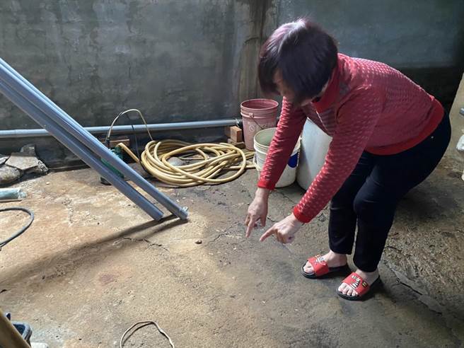 桃园市东非狒狒被抓捕的现场，没有留下血迹。（蔡明亘摄）