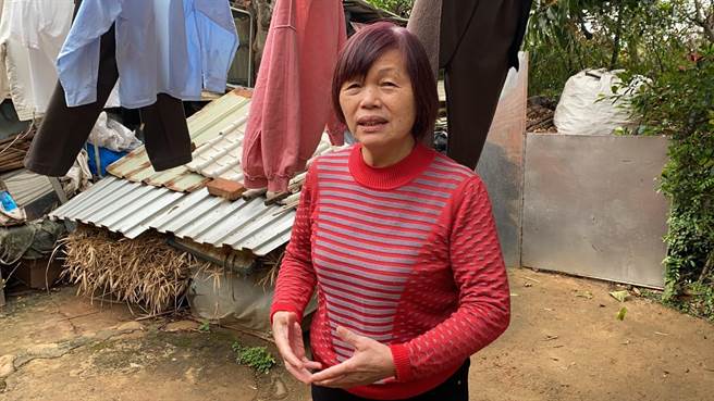 富冈民眾在心里为东非狒狒祈福。（蔡明亘摄）