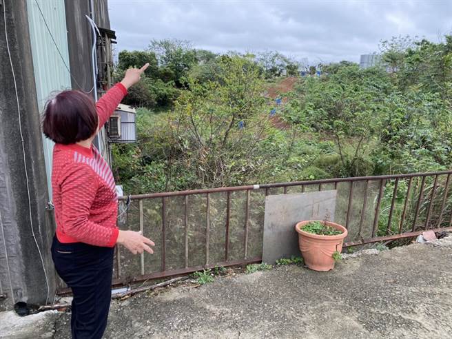 狒狒一路穿越菜园树林大逃亡，最后从民宅屋顶跳进地下室（后院）。（蔡明亘摄）