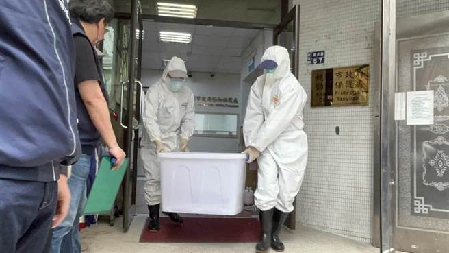 今早9点市府人员将狒狒装箱、盖布、献花致敬，准时运送至台北市立动物园做检查及检疫。（陈梦茹摄）