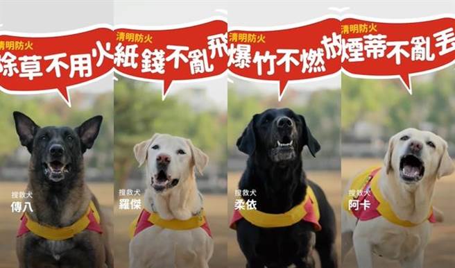 高雄市消防局4只搜救犬拍片宣传「4不2记得」。（翻摄照片／高雄洪靖宜传真）