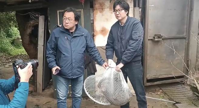 桃园市东非狒狒之死引发后续争议。（农业局提供／蔡明亘桃园传真）