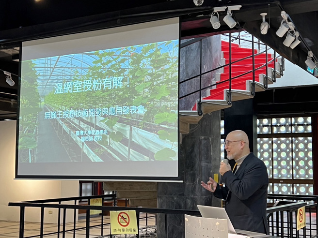 杨恩诚团队研究结果发现，使用费洛蒙可让蜂箱内只存有一片巢脾的蜂，即可以达成蜂群稳定，因此可有效降低温室内蜜蜂的数量并且完成授粉的任务。(照片/臺湾大学提供)