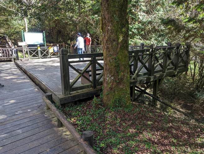 觀霧山椒魚生態中心（觀霧管理站）後方戶外平台因應施工暫時停止通行。（雪管處提供／李京昇苗栗傳真）