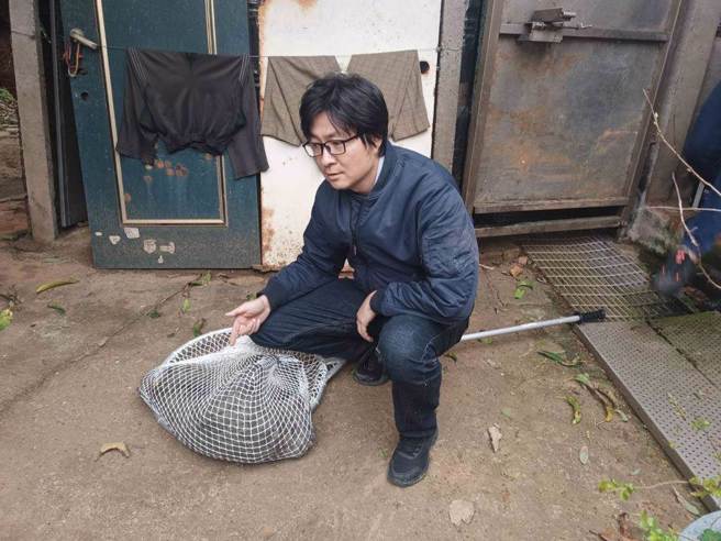 东非狒狒之死 专家：漏洞百出、不出问题才奇怪（本报资料照）