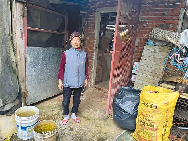 东非狒狒逃亡18天后，27日下午跑到民宅内躲藏，陈姓阿嬷指引农业局人员逮获狒狒，但其最终却不幸中枪伤重不治死亡。（吕筱蝉摄）