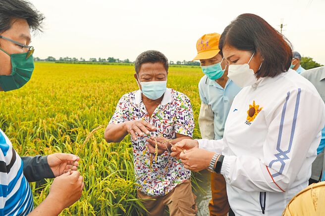 12年来基本工资调幅47.65％，但公粮收购价格12年未曾调整，云林县长张丽善（右一）呼吁中央依物价变动指数调升公粮收购价格。（云林县政府提供／周丽兰云林传真）