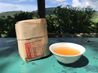 百年歷史獨特風味  台灣最低海拔「港口茶」之祕曝光