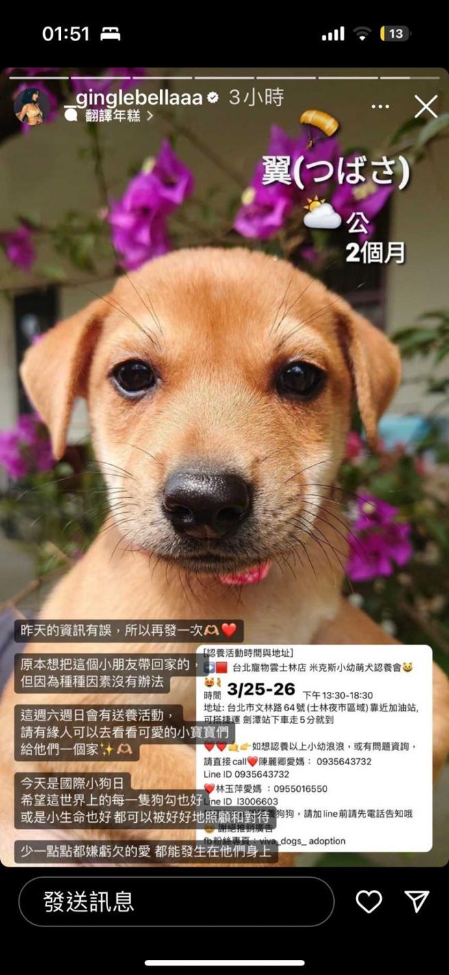 王净在23日PO文表示无法收编浪浪，欢迎有缘人带狗狗回家。（图／取自王净IG）