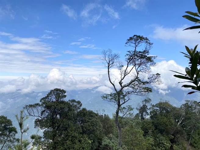 台中谷關七雄登山安全宣導講習課程，即日起開放網路報名。（台中市觀旅局提供）