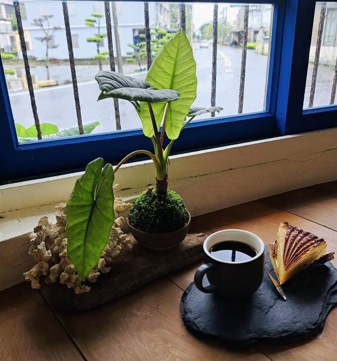 日光山森林书苑于5月6日举办苔球制作课程。（日光山森林书苑提供／吴佩蓉宜兰传真）