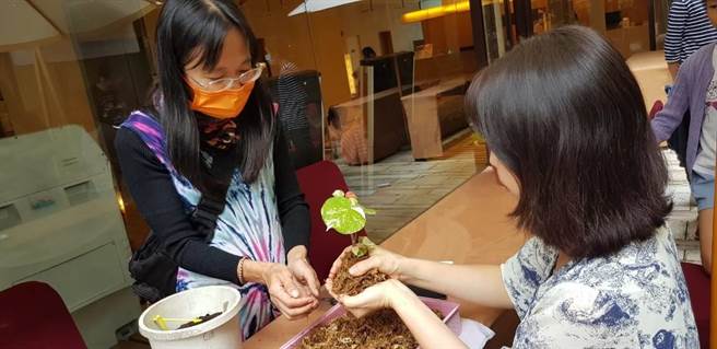 日光山森林书苑于5月6日举办苔球制作课程。（日光山森林书苑提供／吴佩蓉宜兰传真）