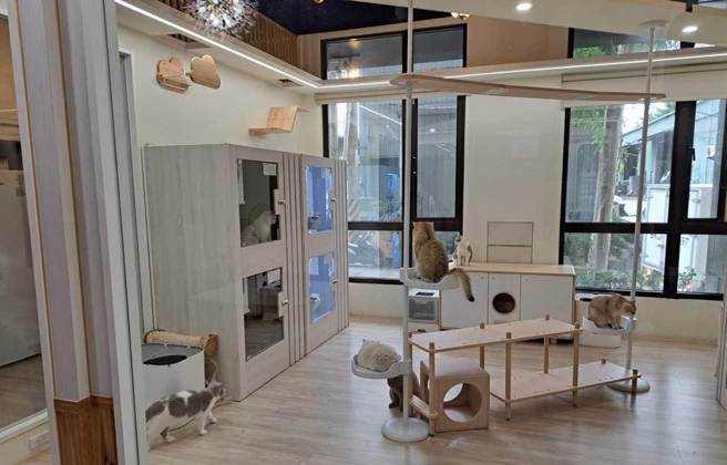 新北市动保处呼吁，寻找合法宠物旅馆时，应注意店家是否悬挂许可证、提供住宿宠物充足的饮用水、食物和环境设施等。（新北市动保处提供）