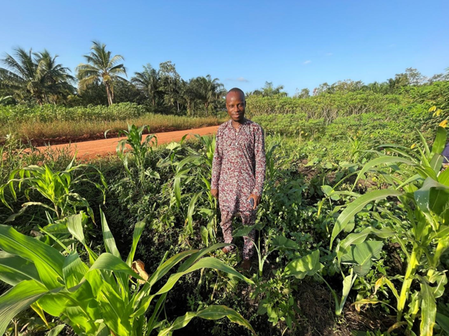 来自贝寧的 David Sodjinou 是参与蔬菜品种试验的公民科学农夫之一。他正在试种「被遗忘作物」，好让他的树薯田更趋多样化。David 表示：「已经种出几个具有高潜力的苋菜品种，保存了种子，并再次种植。我们可以从中收穫自己的粮食，并在当地市场出售这些农产品。」(照片/ Sognigbé N’Danikou提供)