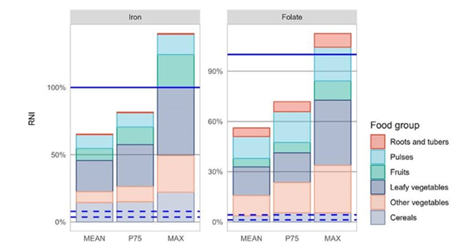 研究依据候选作物可食用部分分类为根茎类、豆类、果实、叶菜类蔬菜、其他类蔬菜和谷类，并以每100公克可食用部位之不同营养元素含量 (以铁与叶酸为例) 转换为成人每日参考营养摄取量 (reference nutrient intakes, RNI) 呈现不同种类的食物群所能提供的营养元素比例。不论是铁元素或叶酸，在叶菜类蔬菜中所含的比例最高。(照片/亚蔬-世界蔬菜中心提供)