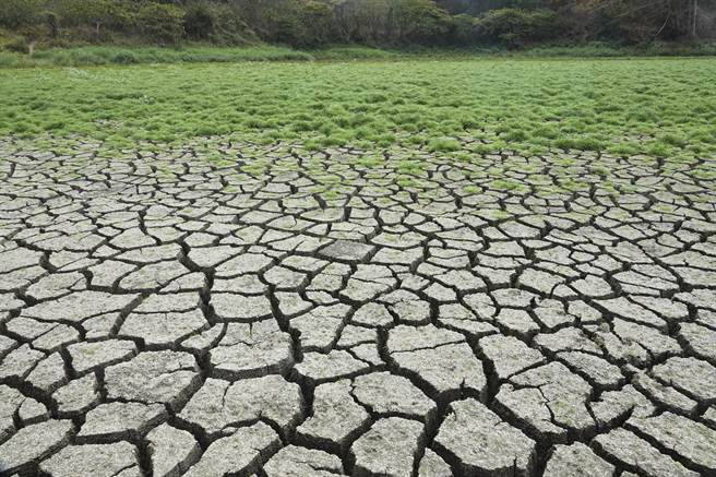 高雄仁武区观音湖因久旱不雨，加上水闸门与堤防工程施工放流部分湖水，目前湖底土壤乾裂。（黄子明摄）